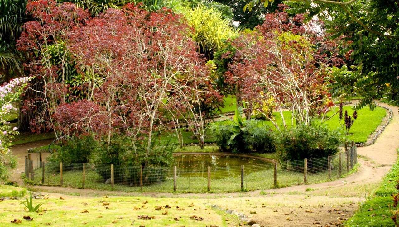 Jardín Botánico Padre Julio Marrero